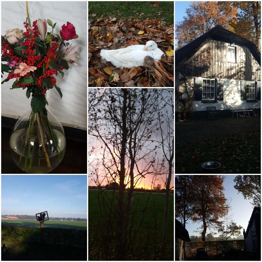 Grenier'S Bed & Breakfast Punthorst Dış mekan fotoğraf